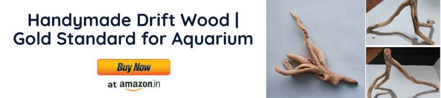 Handymade Drift Wood | Gold Standard for Aquarium, Terrarium & Fish Tanks | 100% Natural Wood | Root Aquarium Decor | Terrarium Decor | Aquarium Wood