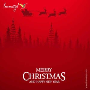 Embracing Christmas 2023: Joyful Celebrations, Home Decor, and Heartfelt Gifts